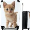 MuchoWow® Koffer - Kat - Rood - Kitten - Meisjes - Kinderen - Jongens - Kindje - Past Binnen 55x40x20 Cm En 55x35x25 Cm - Handbagage - Trolley - Fotokoffer - Cabin Size - Print 2 MuchoWow® Koffer - Kat - Rood - Kitten - Meisjes - Kinderen - Jongens - Kindje - Past Binnen 55x40x20 Cm En 55x35x25 Cm - Handbagage - Trolley - Fotokoffer - Cabin Size - Print -Beroemde Bagage Winkel 1145x1200 2