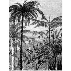 NoBoringSuitcases.com® Koffer - Jungle - Palmboom - Vintage - Zwart Wit - Past Binnen 55x40x20 Cm En 55x35x25 Cm - Handbagage - Trolley - Fotokoffer - Cabin Size - Print 21 NoBoringSuitcases.com® Koffer - Jungle - Palmboom - Vintage - Zwart Wit - Past Binnen 55x40x20 Cm En 55x35x25 Cm - Handbagage - Trolley - Fotokoffer - Cabin Size - Print -Beroemde Bagage Winkel 1200x1200 725