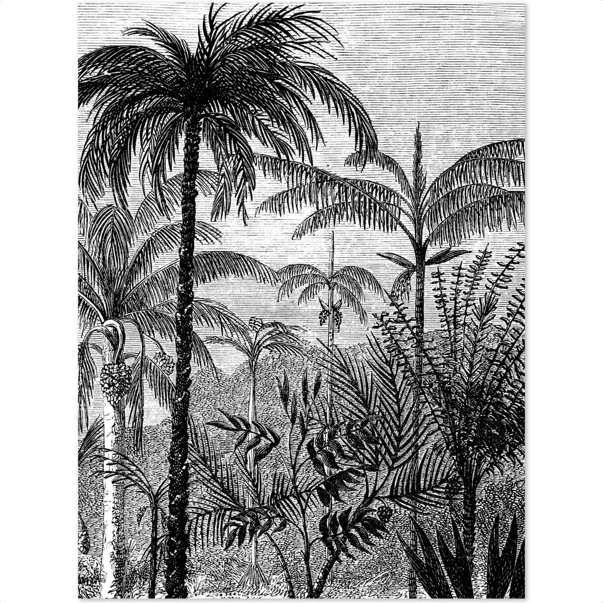 NoBoringSuitcases.com® Koffer - Jungle - Palmboom - Vintage - Zwart Wit - Past Binnen 55x40x20 Cm En 55x35x25 Cm - Handbagage - Trolley - Fotokoffer - Cabin Size - Print 11 NoBoringSuitcases.com® Koffer - Jungle - Palmboom - Vintage - Zwart Wit - Past Binnen 55x40x20 Cm En 55x35x25 Cm - Handbagage - Trolley - Fotokoffer - Cabin Size - Print - Afbeelding 9