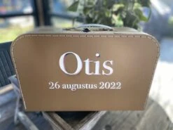 Merkloos Koffertje Karton Bruin Maat L Met Eigen Opdruk - Met Naam -Beroemde Bagage Winkel 1200x899 1