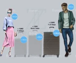 ©TROLLEYZ - Amsterdam No.9 - Reiskoffer 78cm Met TSA Slot - Dubbele Wielen - 360° Spinners - 100% ABS - Reiskoffer In Cloudy Grey -Beroemde Bagage Winkel 1200x997 2