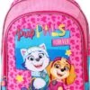 Paw Patrol SKYE & EVEREST Rugzak Rugtas School Tas 5-10 Jaar Roze -Beroemde Bagage Winkel 825x1200 10